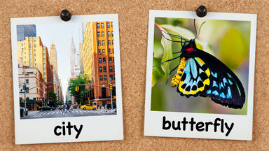 city and butterfly spelling words