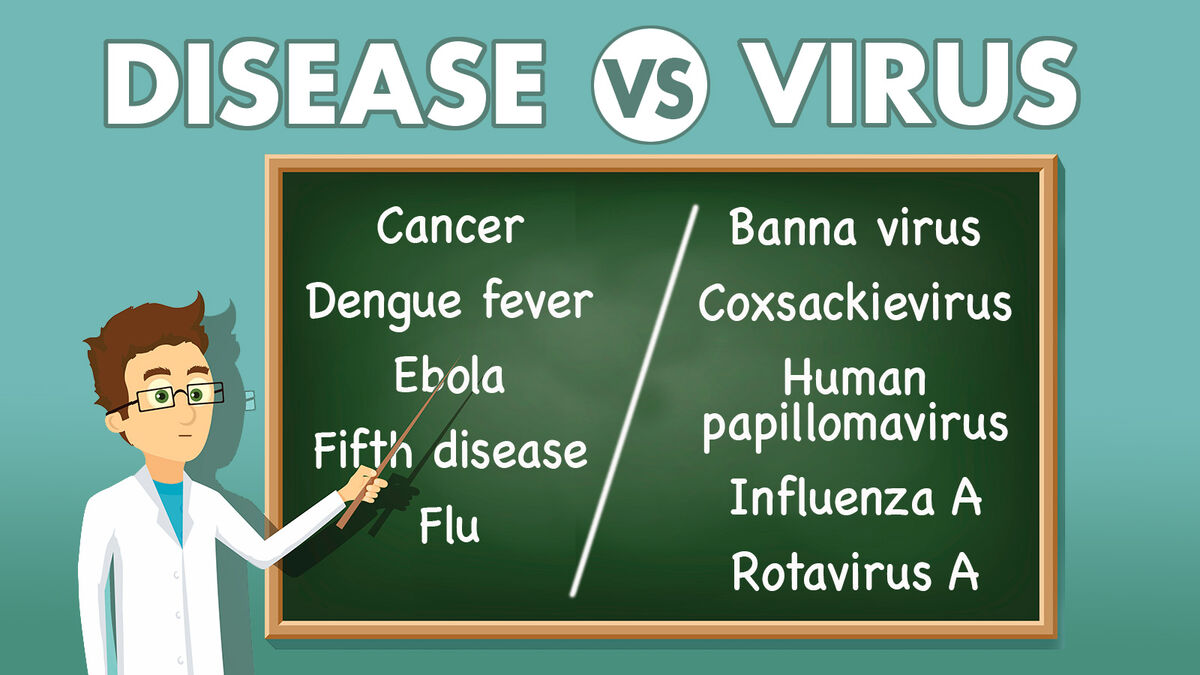 disease-vs-virus-what-is-the-difference-yourdictionary