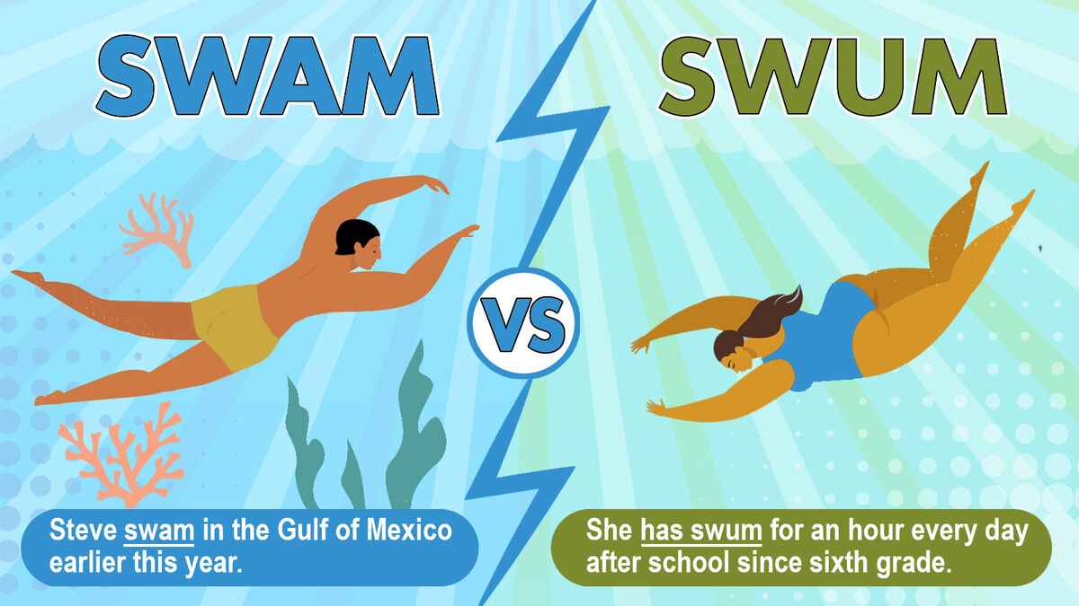 swam vs swum sentence usage example