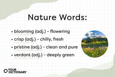 List of words that describe nature from the article.