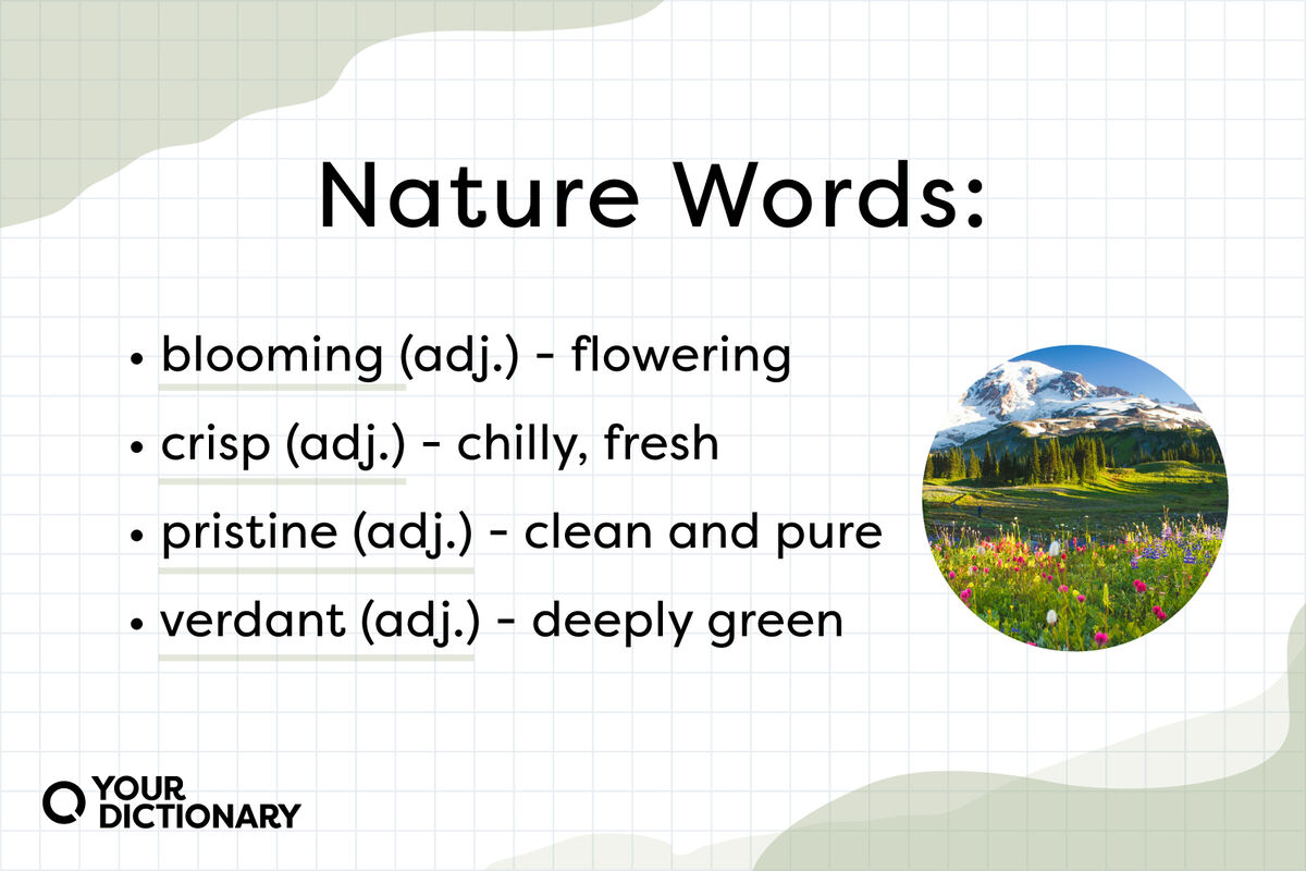 30 Nature Words to Describe the Beauty of Earth | YourDictionary