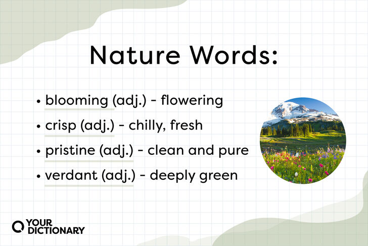 30-nature-words-to-describe-the-beauty-of-earth-yourdictionary