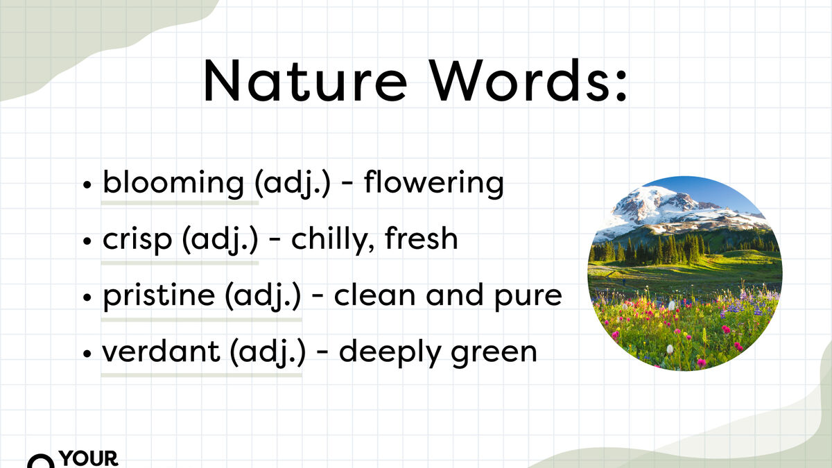 30 Nature Words to Describe the Beauty of Earth | YourDictionary