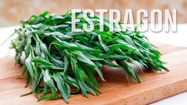 estragon letter e food