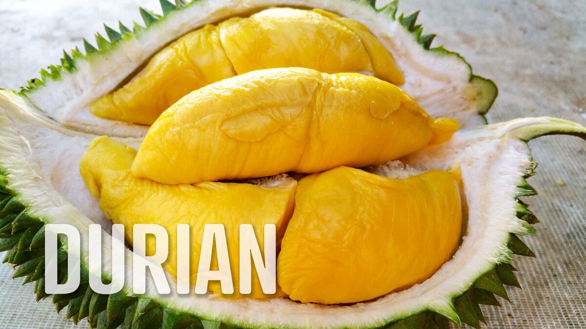 foods that start with d durian
