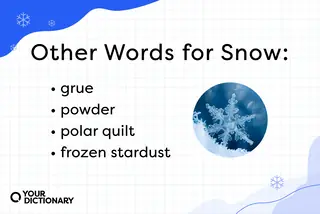 list of four other words for "snow" from the article