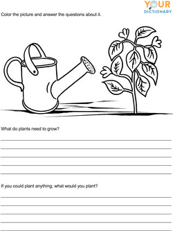 kindergarten writing prompts with pictures