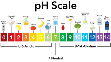 Common Chemistry Terms for Students to Know