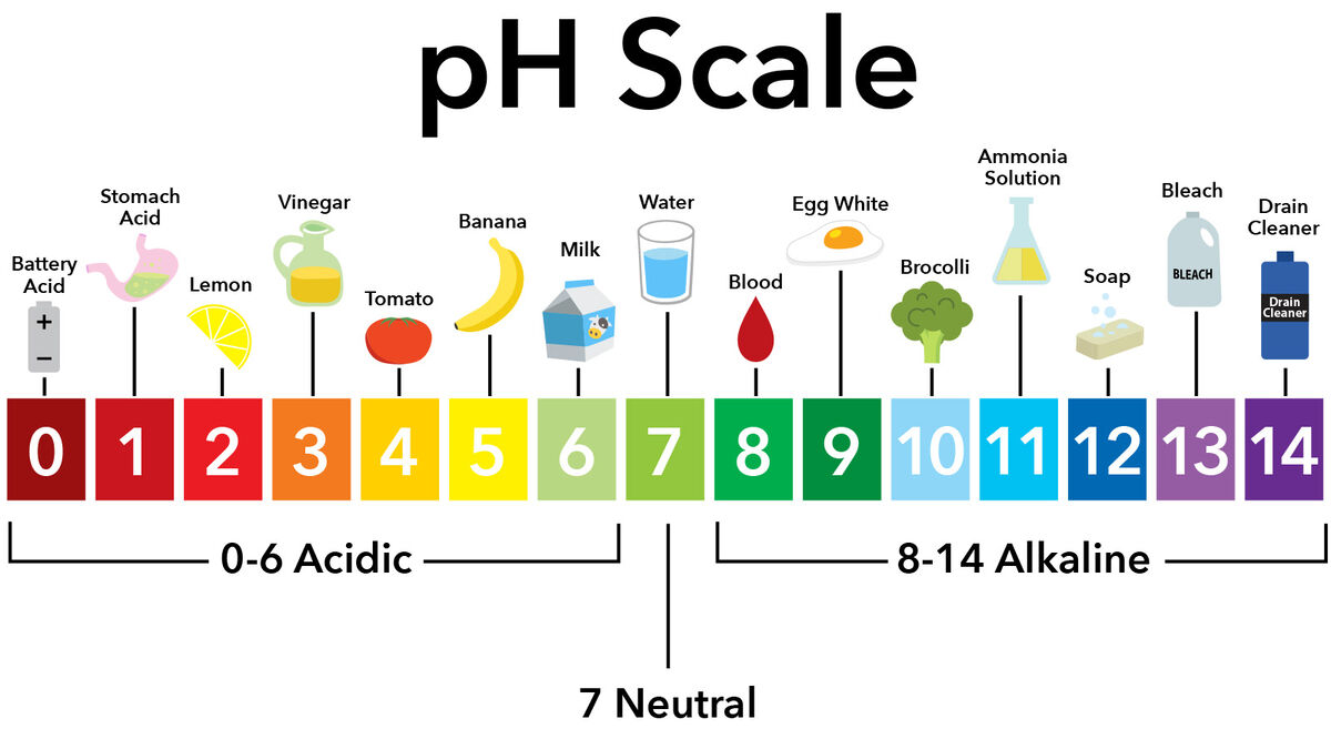 pH Scale with examples