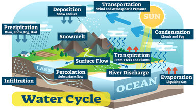 water cycle key biology terms