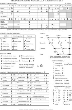 Understanding the IPA Vowel Sounds Chart