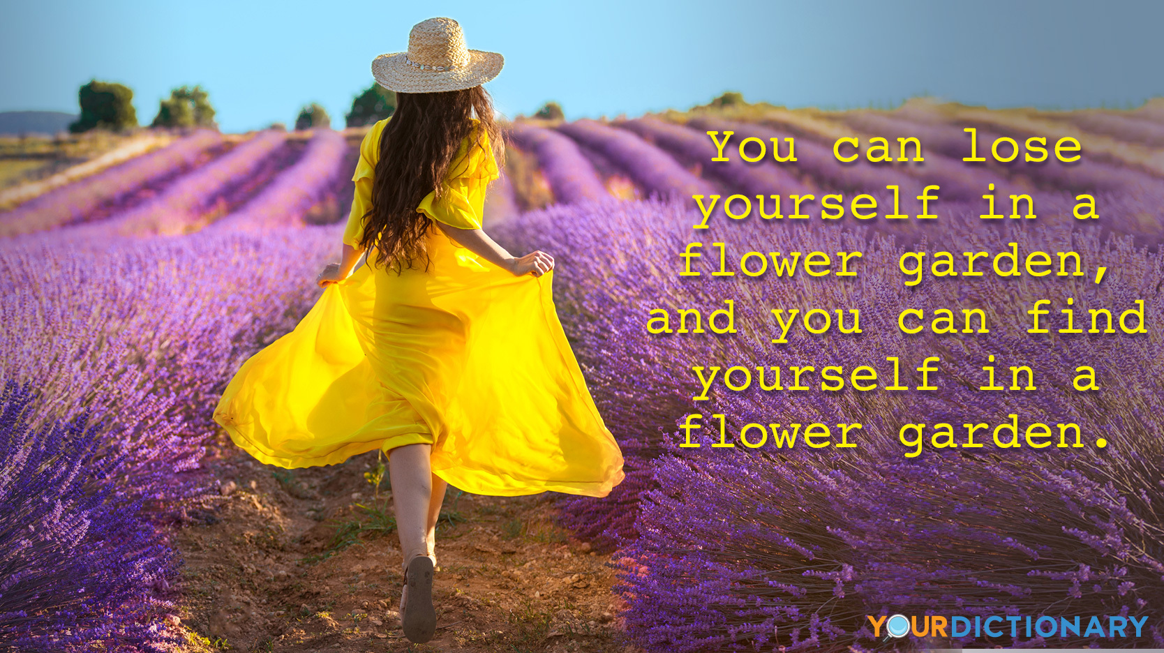 Woman on Lavender Field as Flower Quotes Example