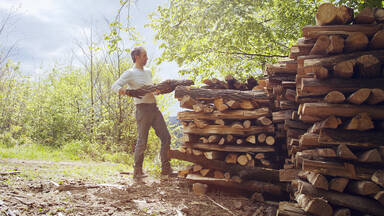 Renewable energy example wood for heat