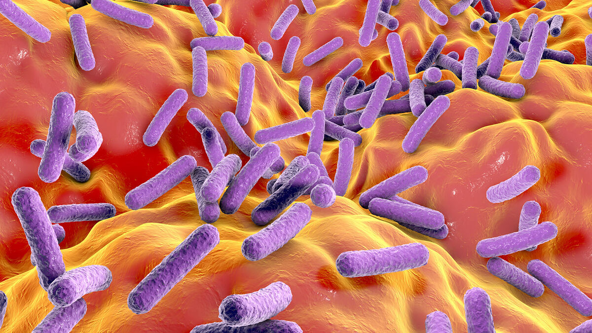 Illustration of Eubacteria bacteria