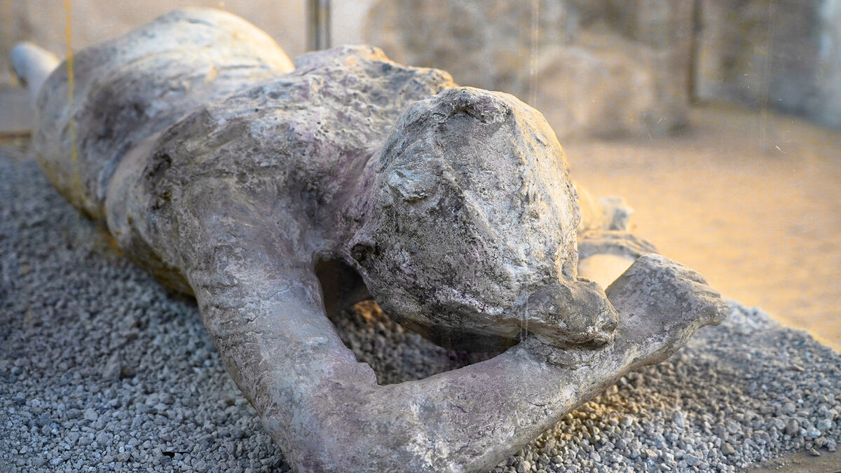 Example Body Fossil Pompeii Mould