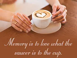 Saucer and cup of coffee as examples of analogy in literature