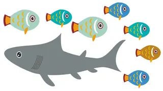illustrations of examples of fish