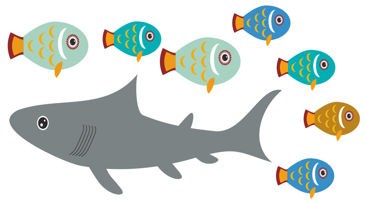 illustrations of examples of fish