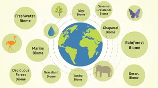 Biome examples around the world