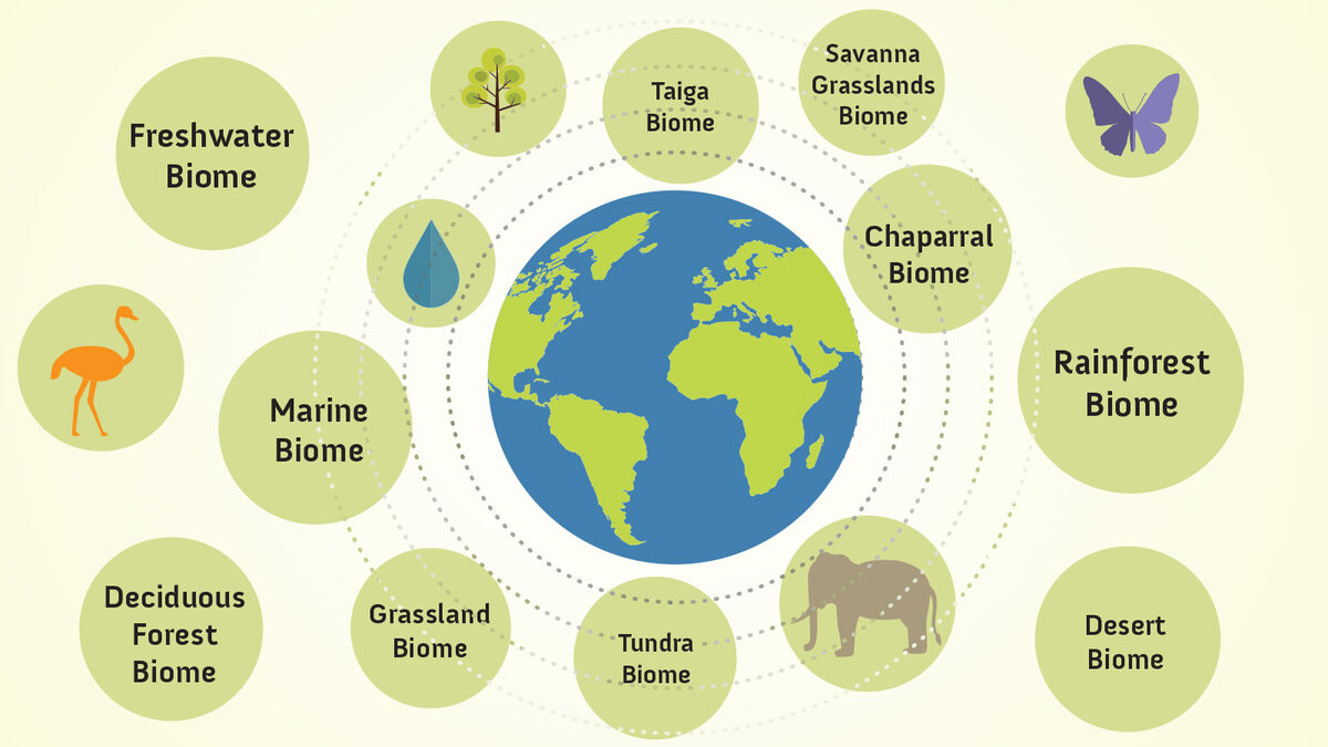 Biome Examples From Around the World