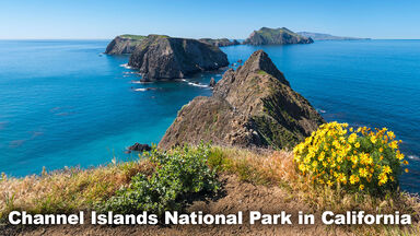 Marine Biome Channel Islands National Park California