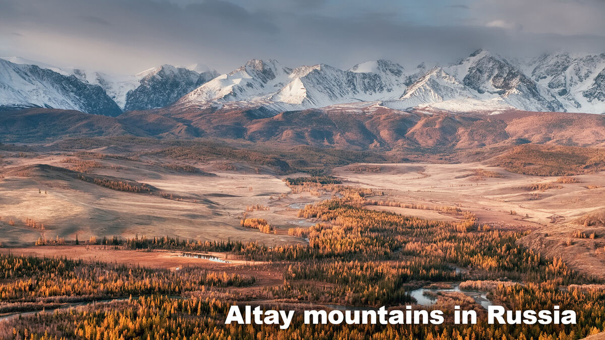 Taiga Biome Altay mountains in Russia