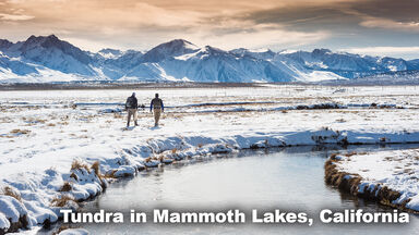 Tundra Biome Mammoth Lakes, California