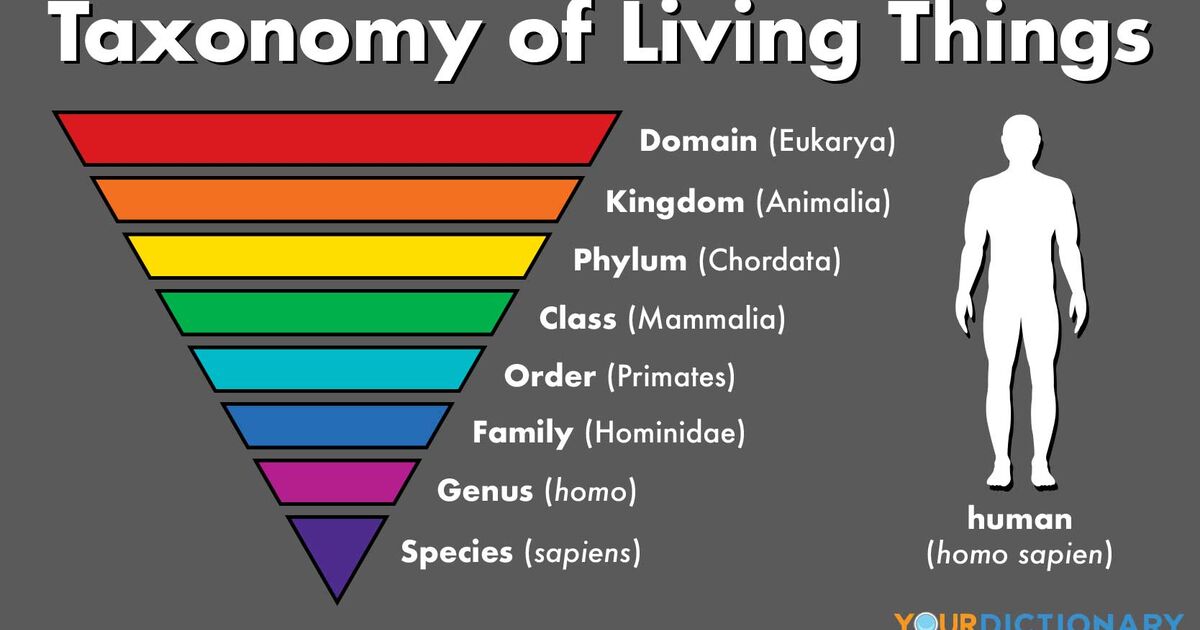 non living things that are composed of cells