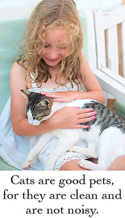 Girl petting cat as compound sentence examples