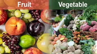 difference between fruit and vegetable