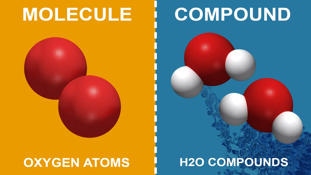 Molecule