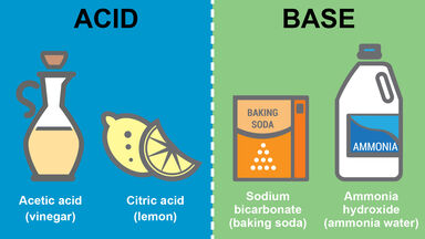 Difference Between Acids and Bases: Key Properties