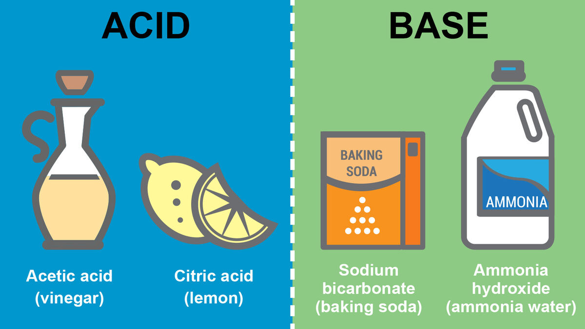 Difference Between Acids and Bases: Key Properties