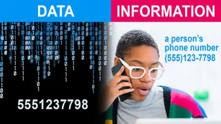 difference between data and information