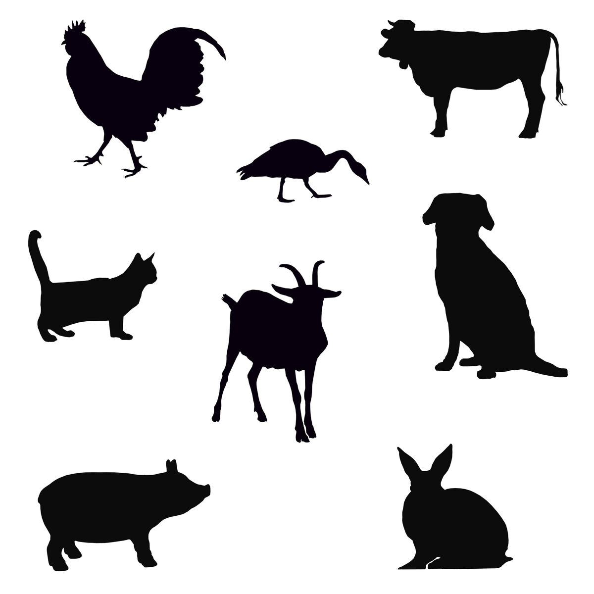 Animals ESL Quiz | YourDictionary