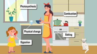 Examples of Chemical Changes in Everyday Life