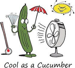 Cucumber with a fan as examples of food idioms