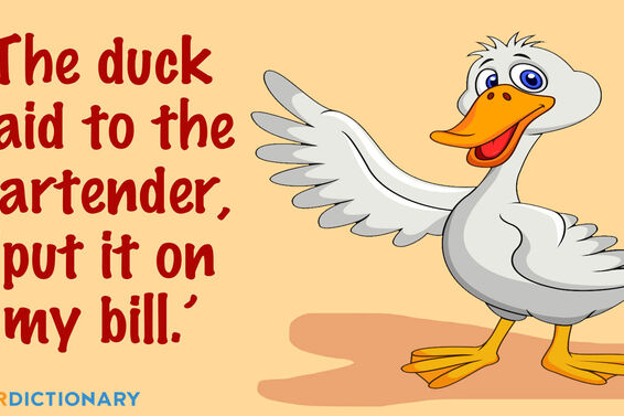 Funny duck bill pun