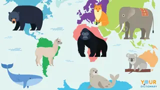 mammals around the world
