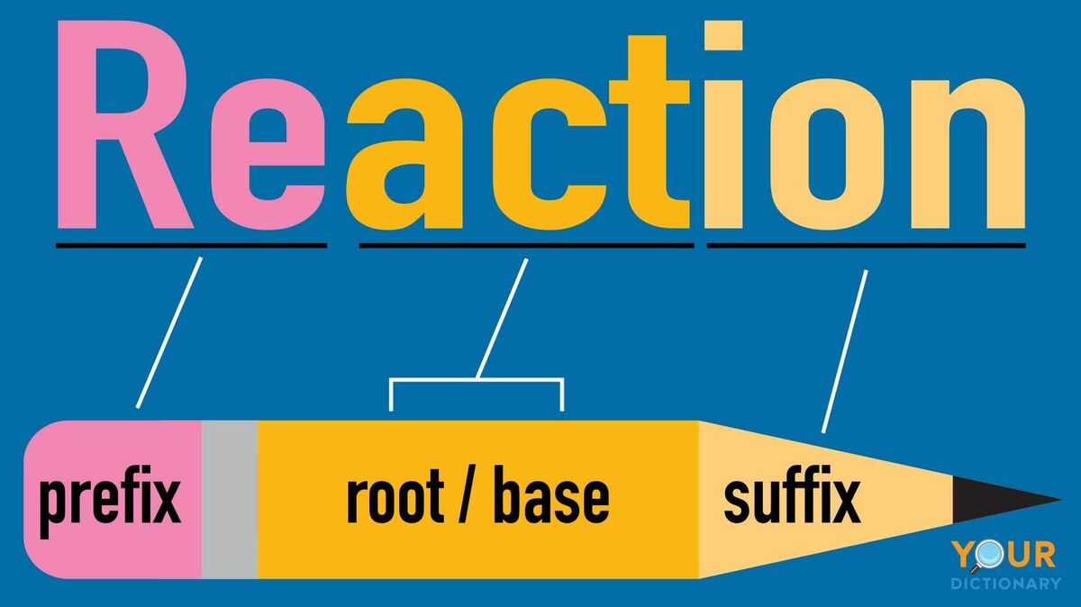 diagram word reaction prefix, root/base, suffix