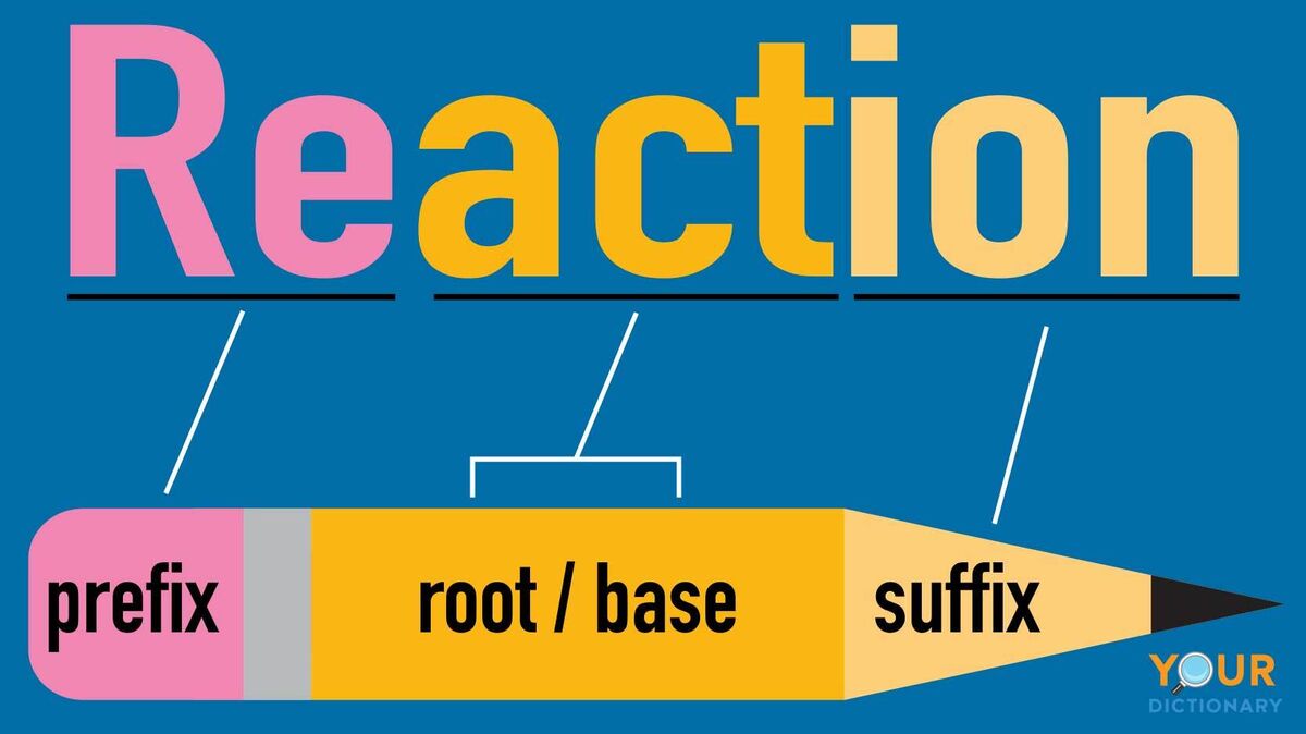 root-port-vocabulary-rootwords-english-interesting-latin-root