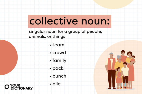 definition of "collective noun" with examples from the article