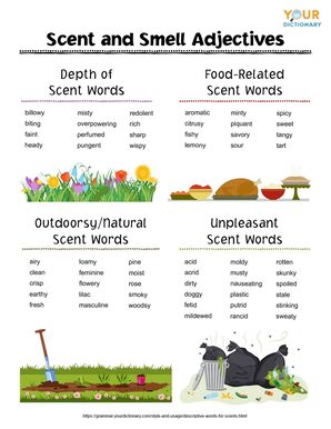 scent and smell adjectives