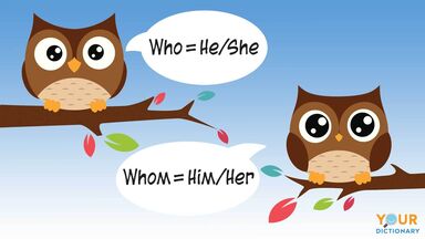 Owls with chat bubbles highlighting tips about how to use "who" and "whom" from the article