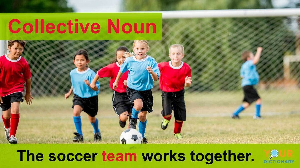collective noun soccer team