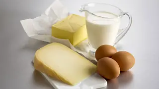 Lipids from butter, milk, cheese, and eggs