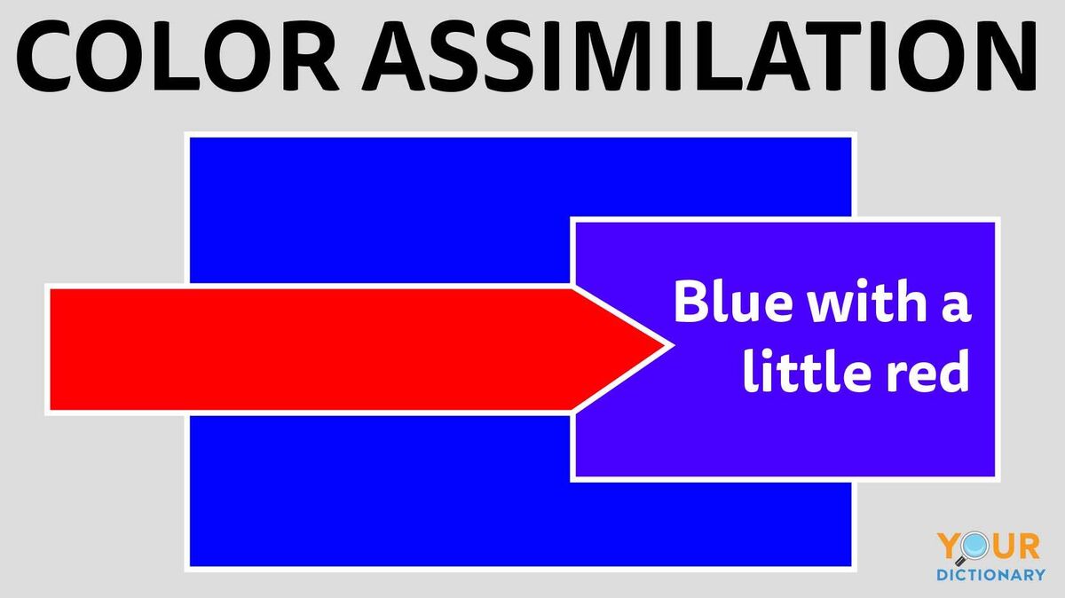 Blue and red as examples of assimilation