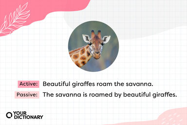 Giraffe With Active and Passive Voice Examples