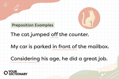 Cat With Preposition Sentences Examples Cat With Preposition Sentences Examples