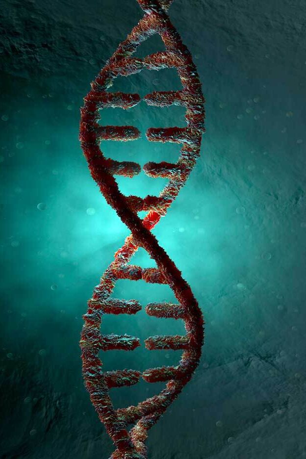 Examples of Nucleic Acids | YourDictionary